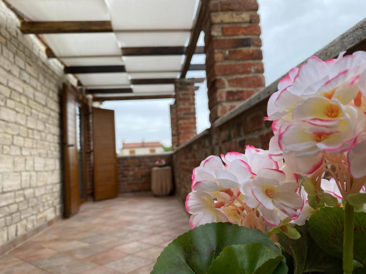 Paradise Villa Cassonni Istria 4 Stars Butkovići Esterno foto